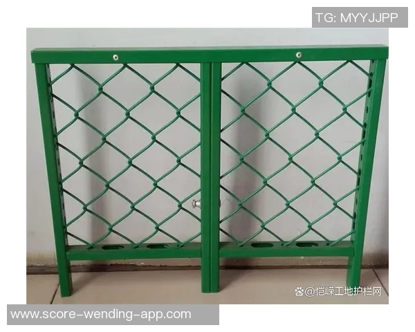 足球球场专用围栏厂家为您提供高质量安全围栏解决方案助力赛事顺利进行